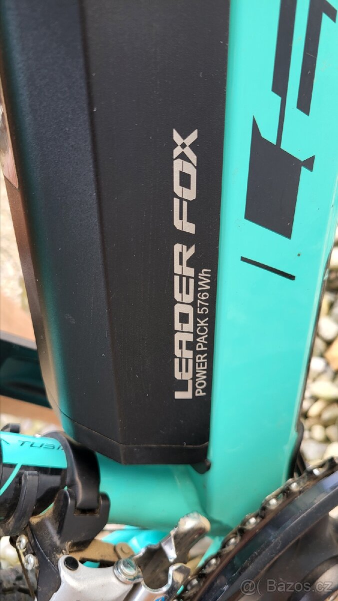 Leader Fox Venosa - 11