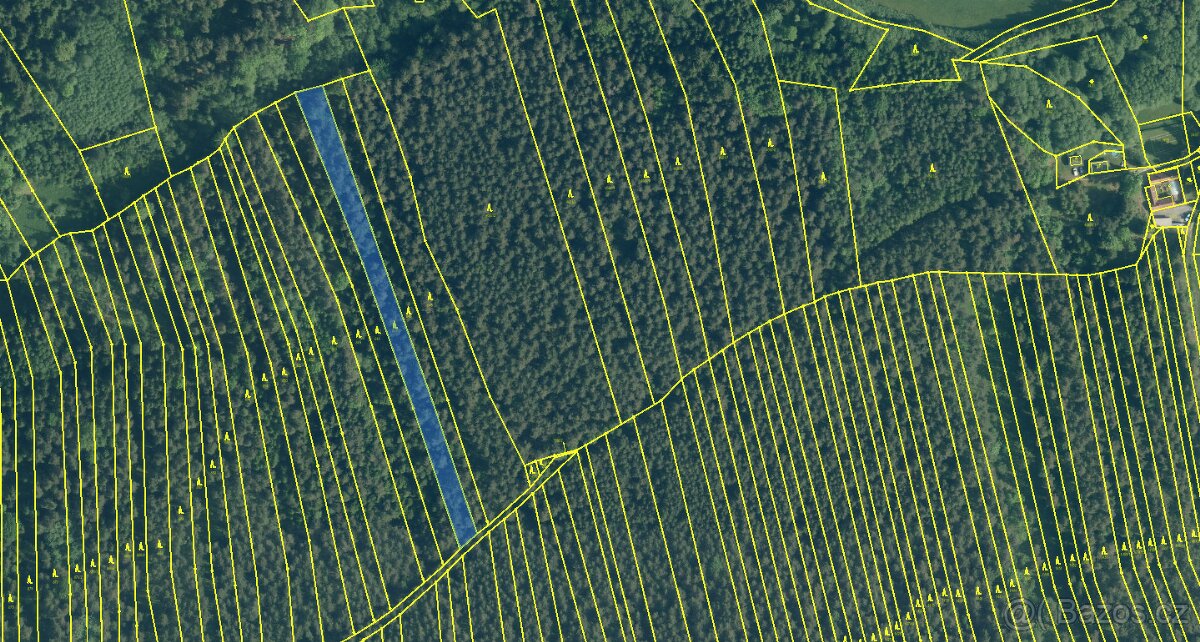 Prodám lesní pozemky v k.ú. Ločenice, p.č. 847 a 1201 - 11