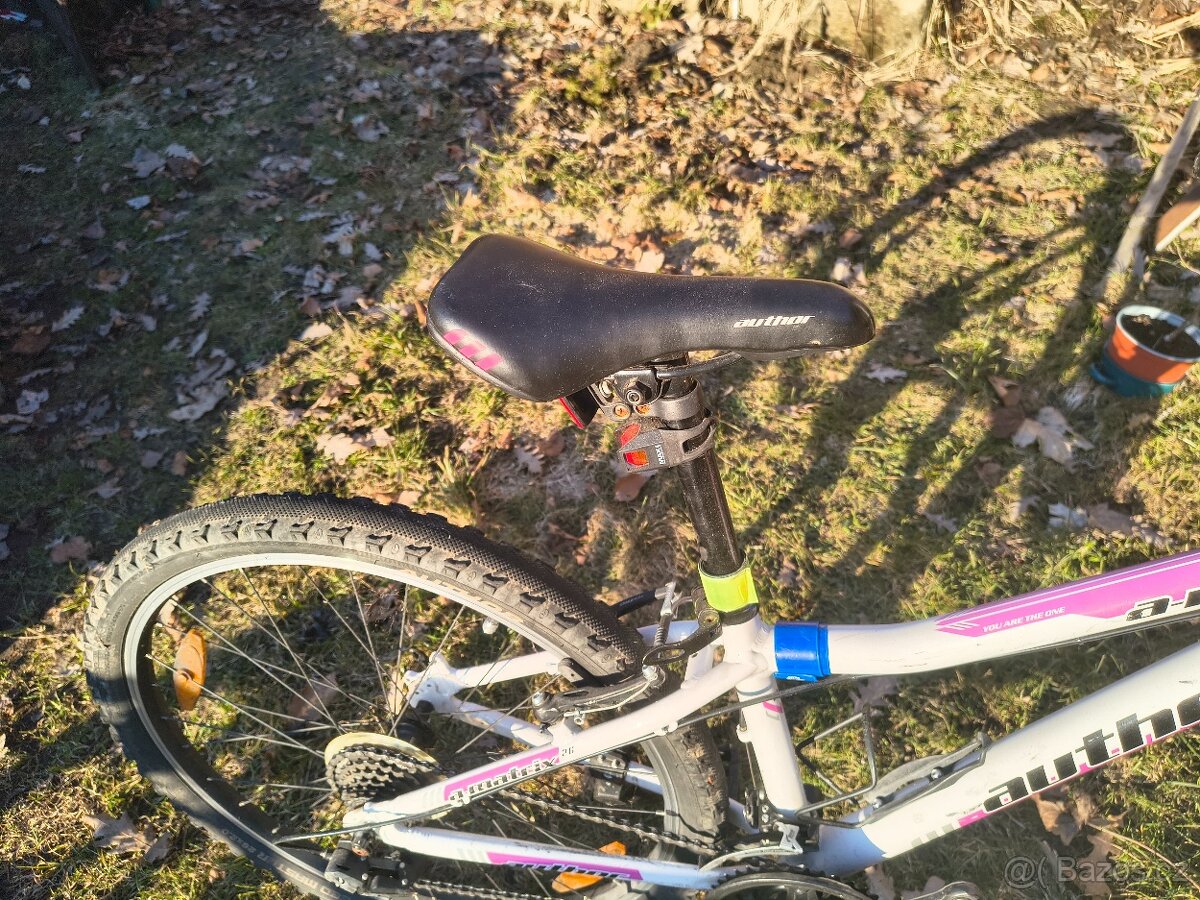 Author A-Matrix - 11