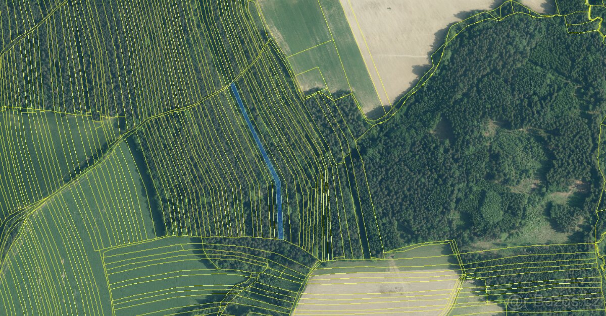 Prodám lesní pozemky v k.ú. Ločenice, p.č. 1452 a 1453 - 11