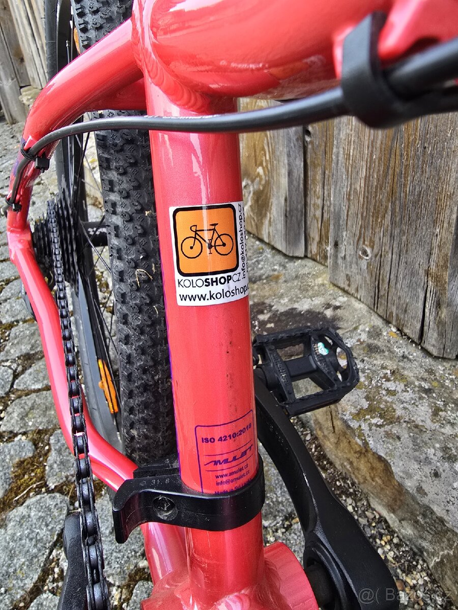 Amulet Youngster 24 - 11