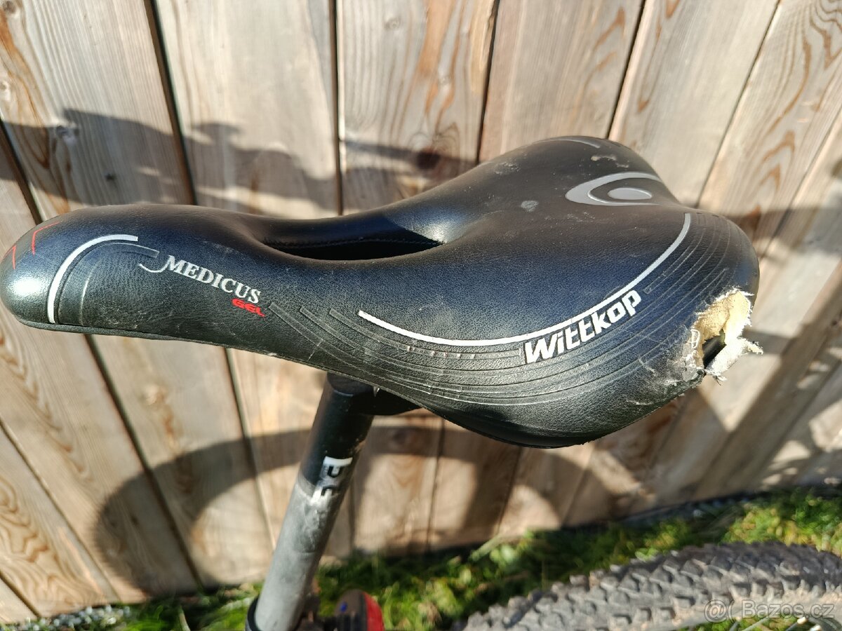 Elektro kolo Leader Fox - 11