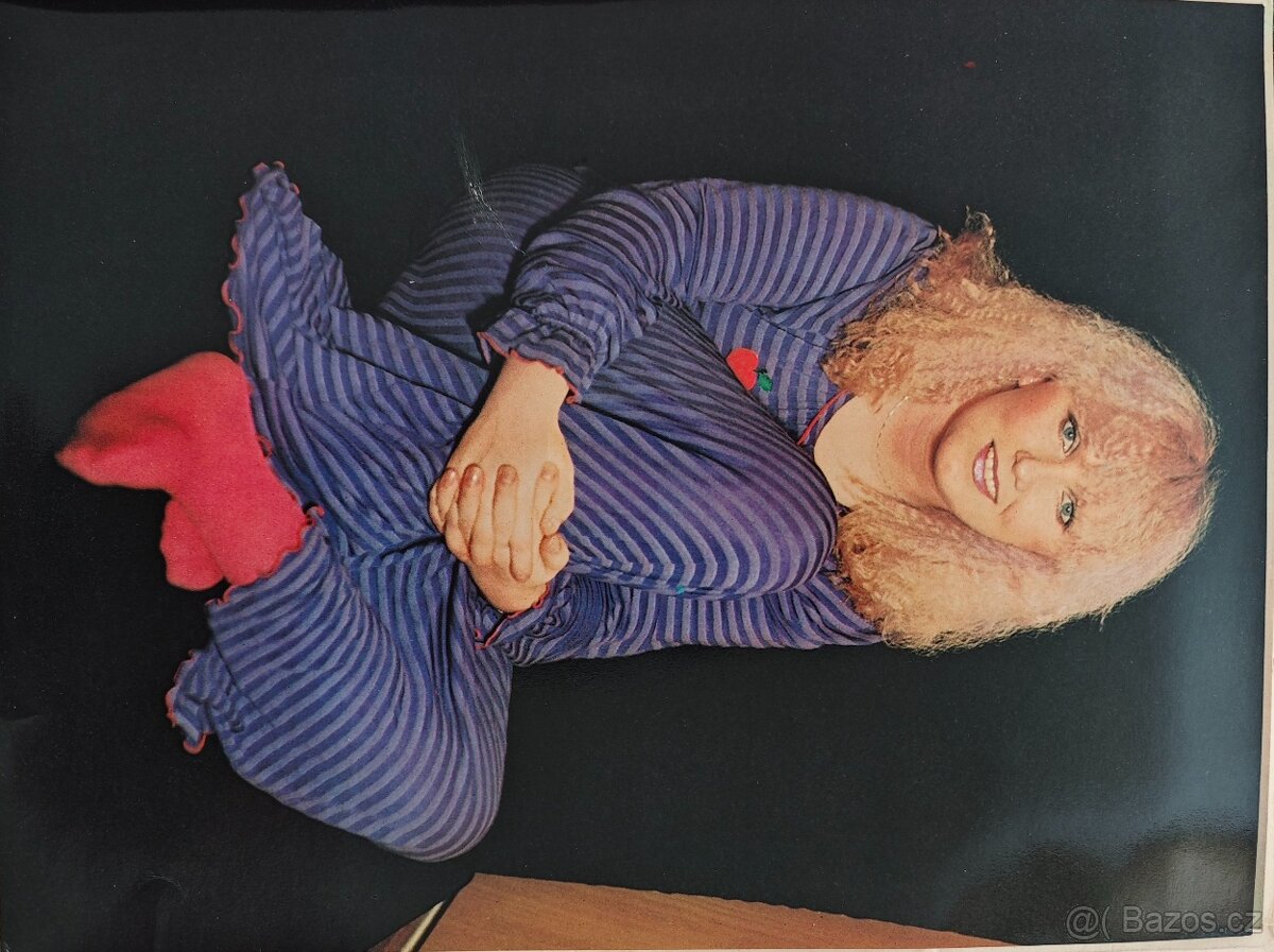 Karty zpěváků s popisem - 11