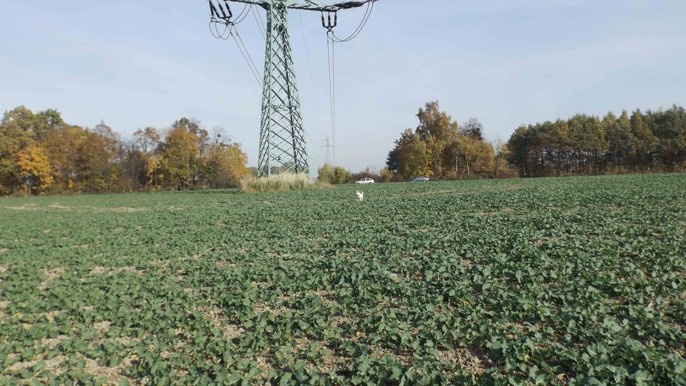 Orná půda O.- Bartovice, cca 25.000m2, rovina, 59 Kč/m2. - 11