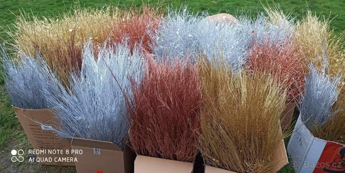 Prodej jmelí 2025🌿 - 11