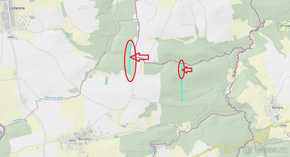 Prodám lesní pozemky v k.ú. Nesměň u Ločenic - 11