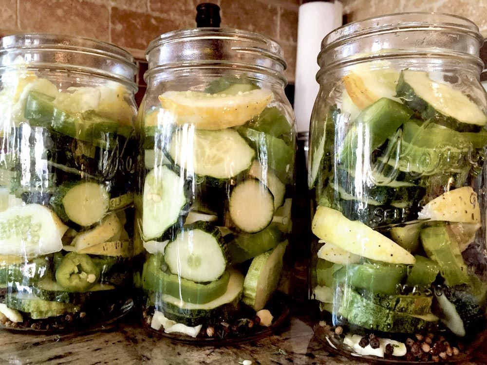 Citronové popínavé mini okurky (10 semen) - 11