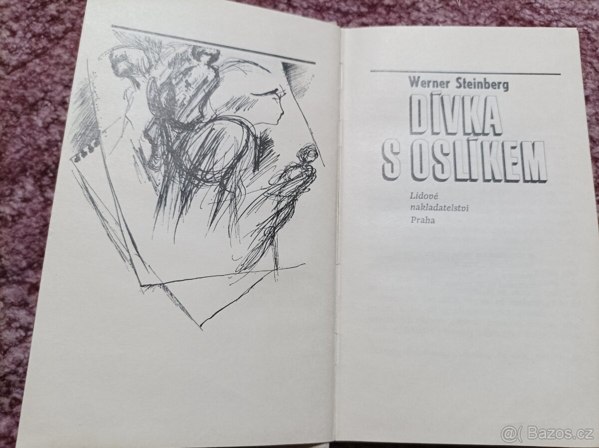 KNIHY PRO DÍVKY - dívčí romány - 11