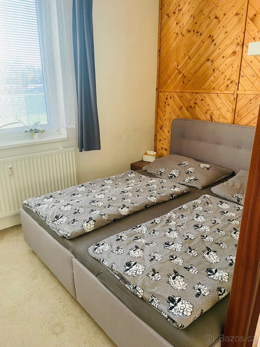 Pronájem bytu 3+1 v Bechyni - 11