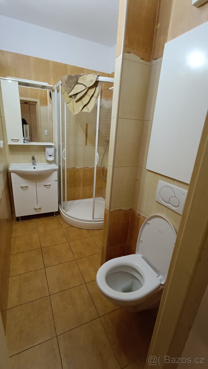 Byt 3+1 v Klatovech - 11