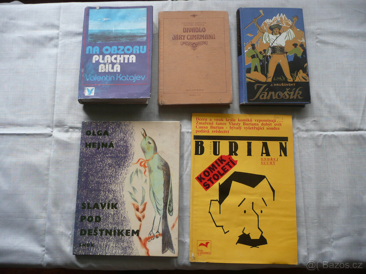 Starší knihy různého zaměření - 11