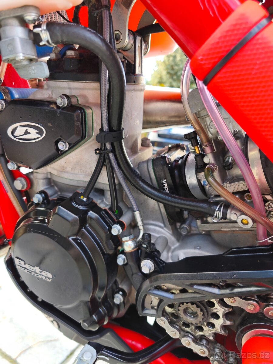 Beta RX 300 2024 31mth - 11