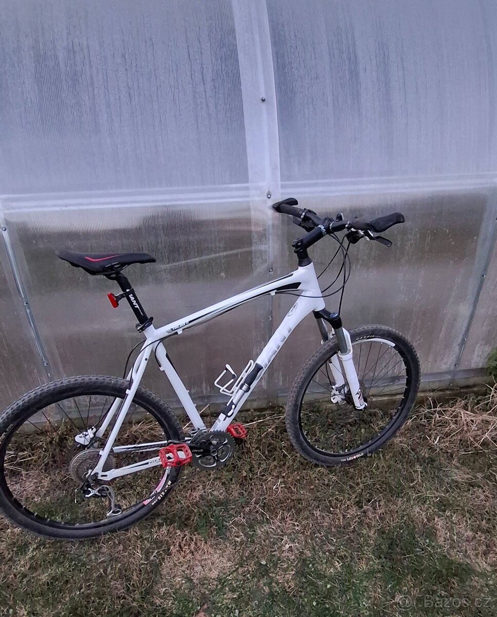 Pánské kolo GIANT - 11