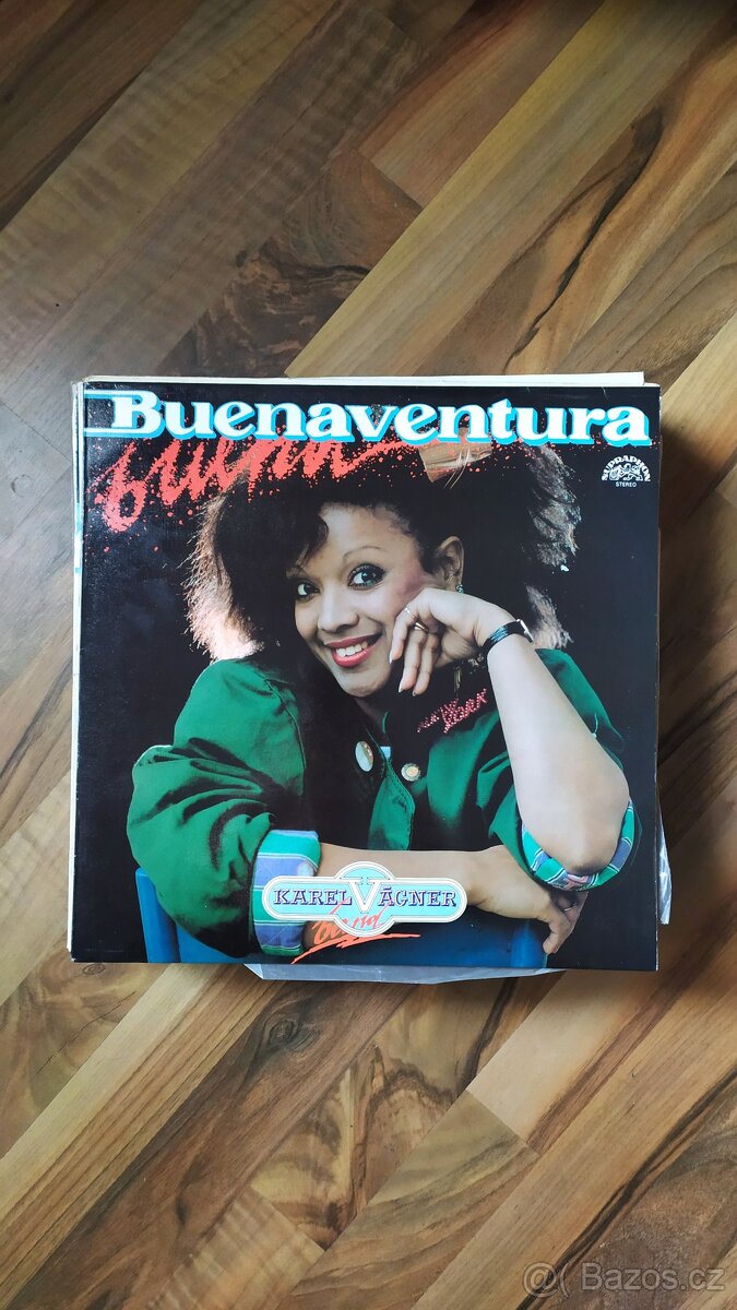 Gramofonové desky - 11