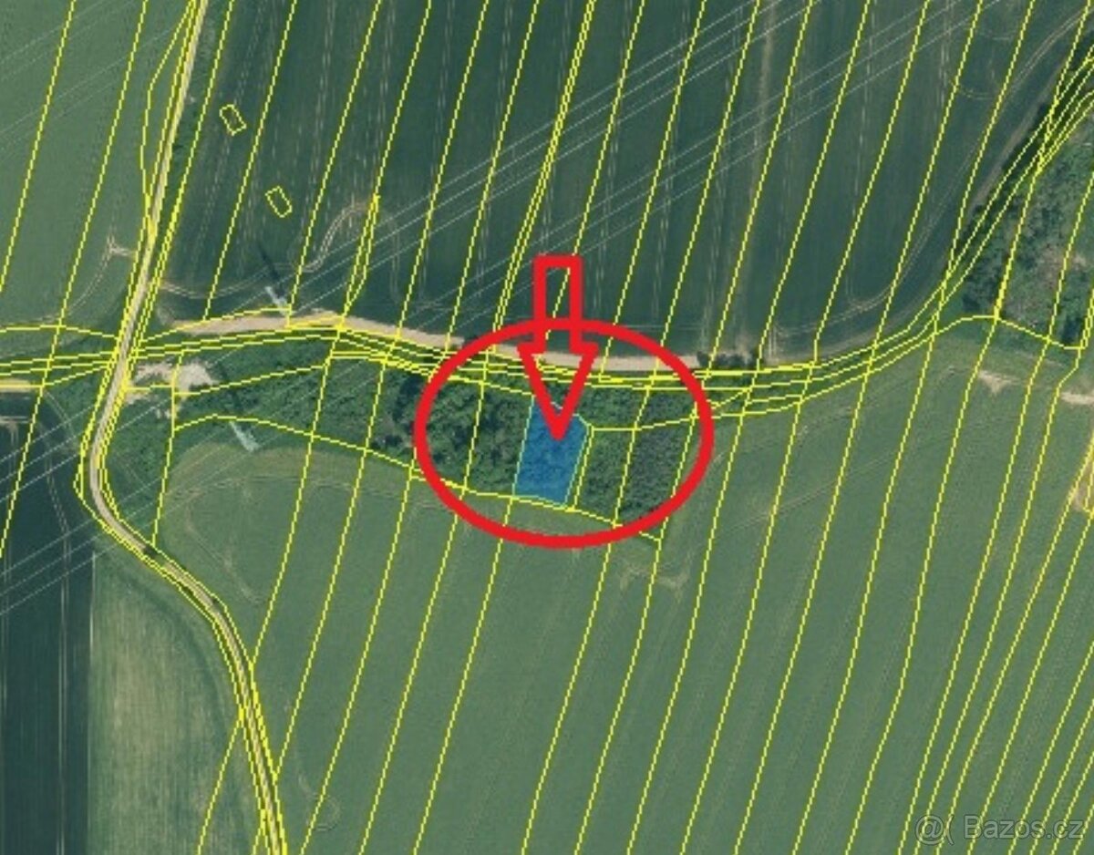Prodej lesních pozemků v k.ú. Kočín - 11