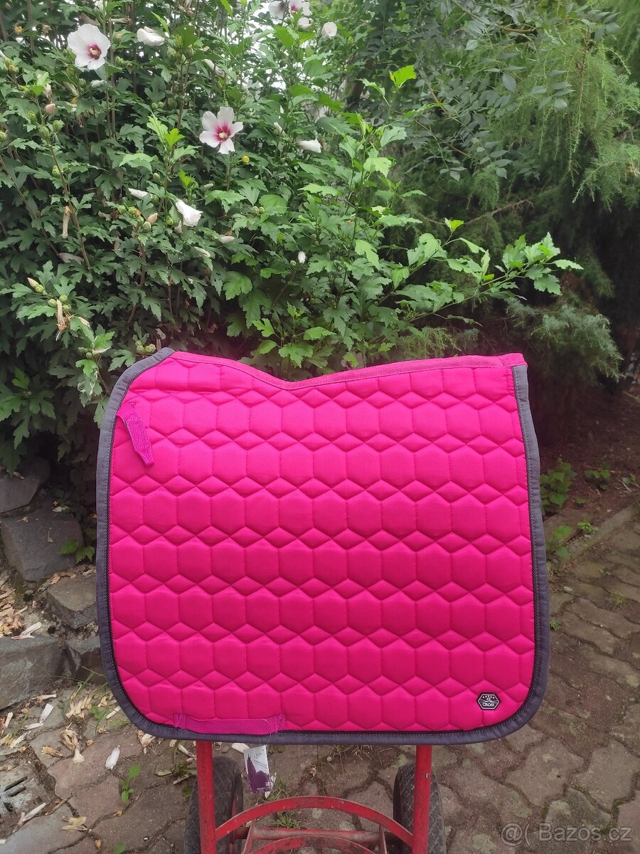 Drezurní dečky VÍCE KUSŮ - 11