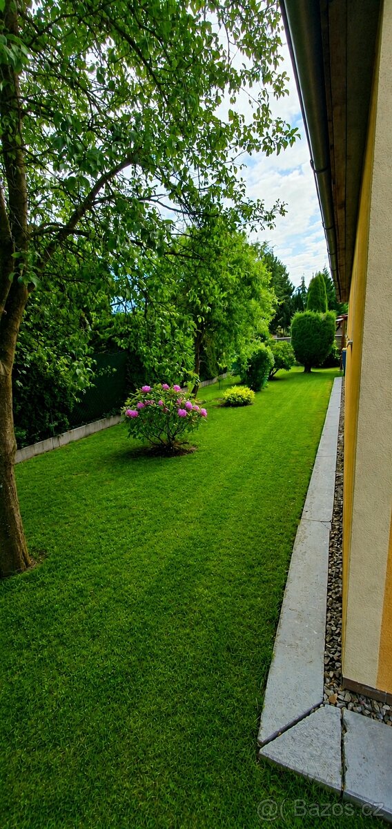 Dům v Litvínovicích, 620 m² pozemek - 11