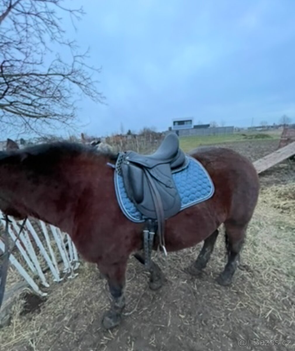 Kentaur Ithaka APM - 11