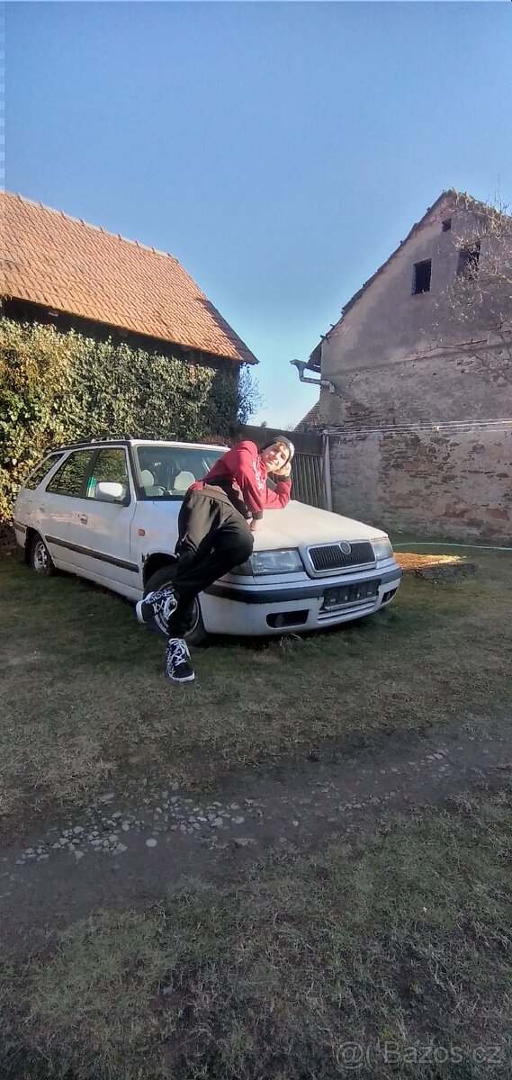 Škoda Felicie Combi - 11