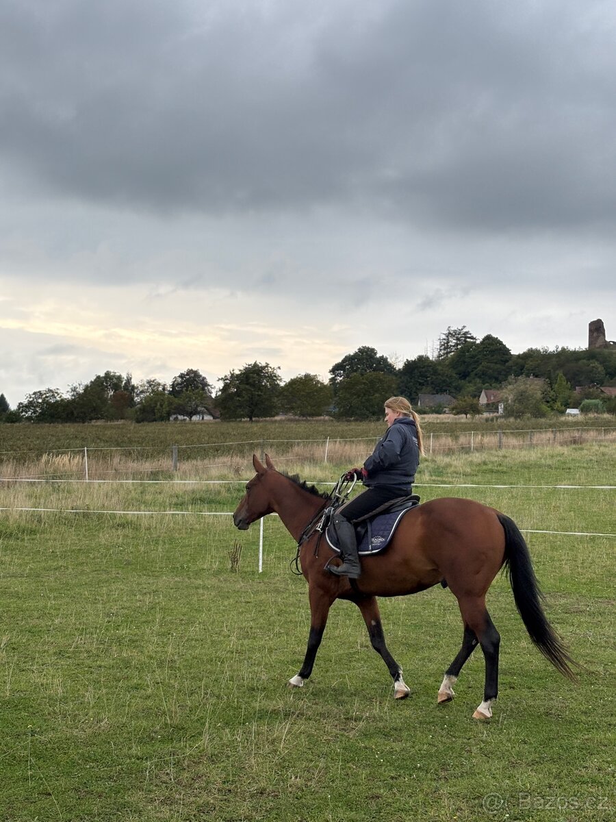 Jízda na koni /pronajem - 11