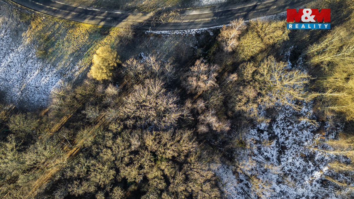 Prodej pozemku, 3376 m², Višňová - 11