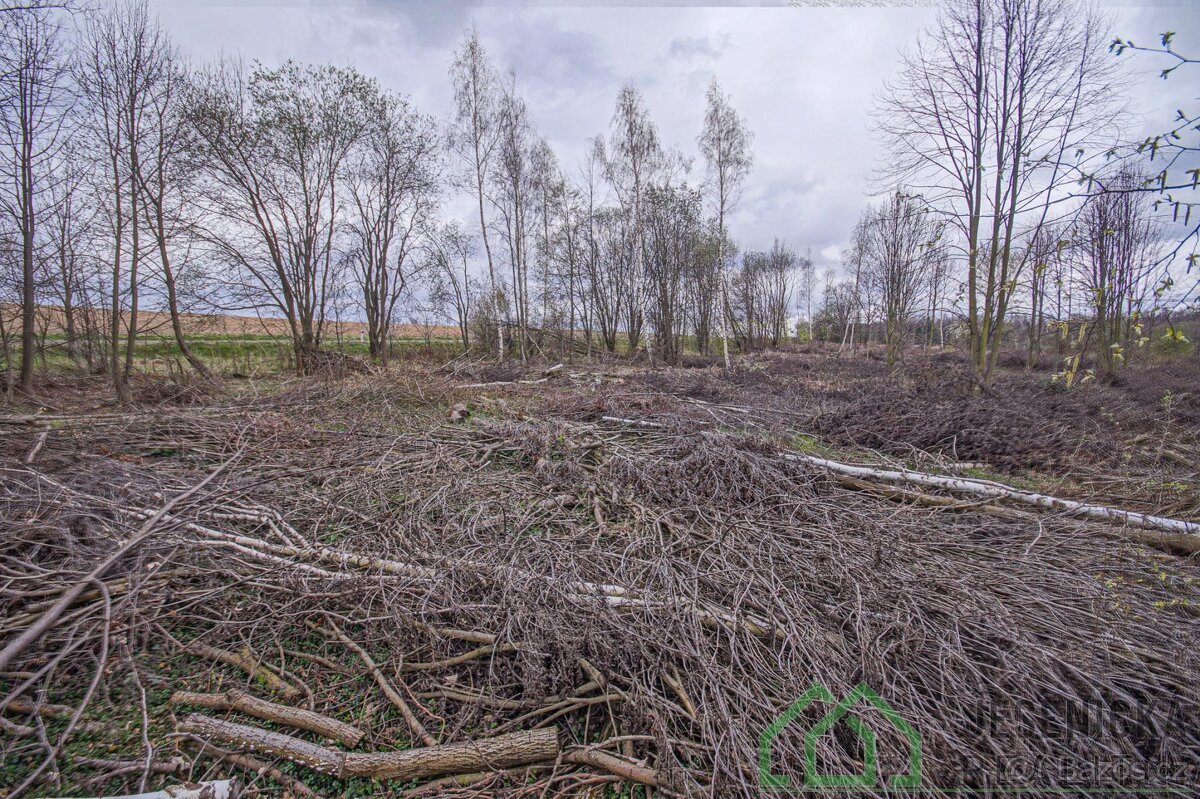 Prodej pozemku v obci Terezín u Mikulovic - 11
