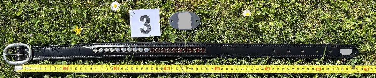 Kožený psí obojek bez připojení na vodítko, náhrdelník MIX - 11