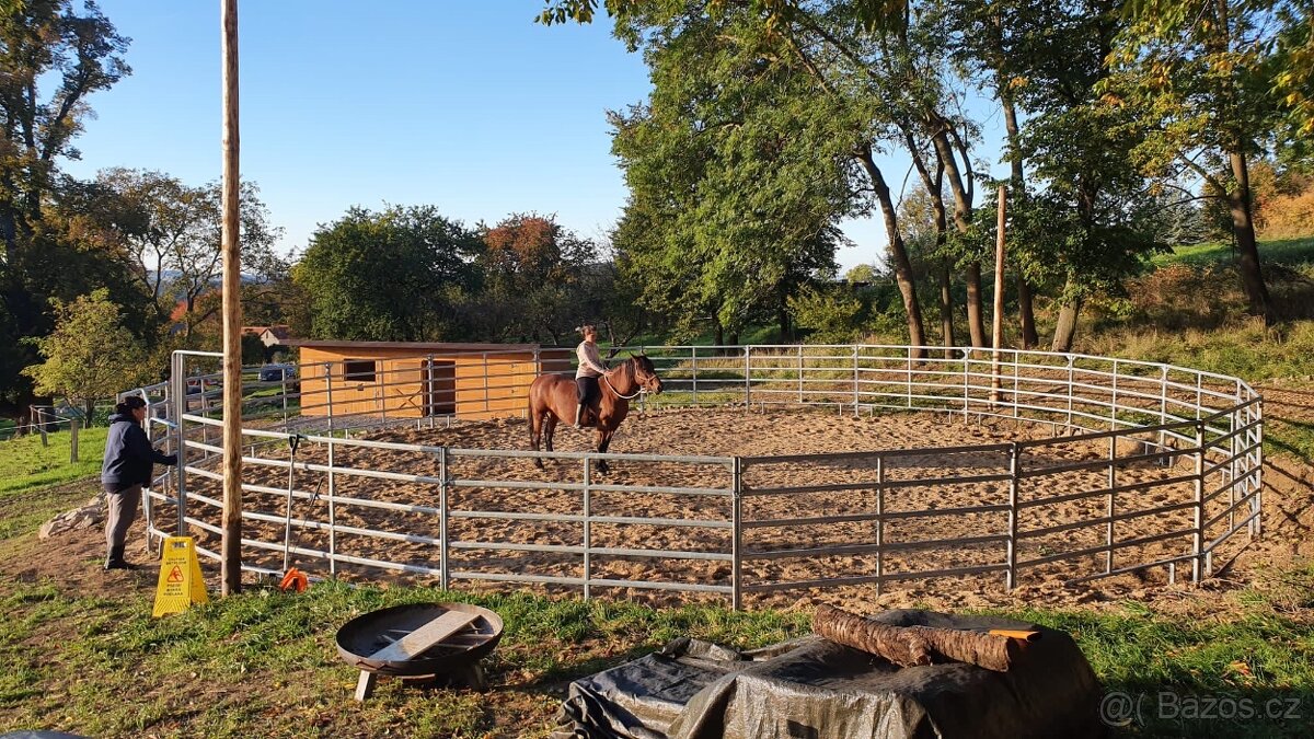 Pastevní ustájení v ráji i pro DUŠNÉ koně PRAHA 35 minut - 11