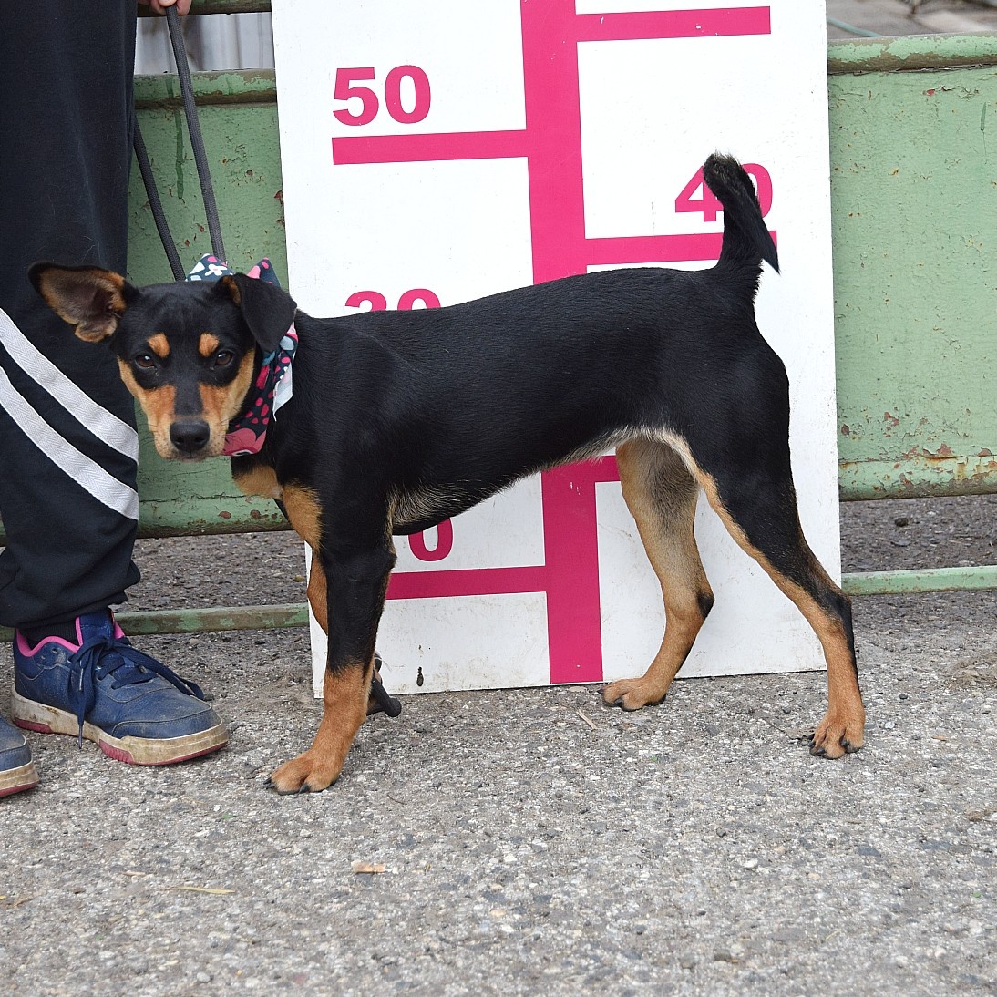 Vitalina rezervace - 11