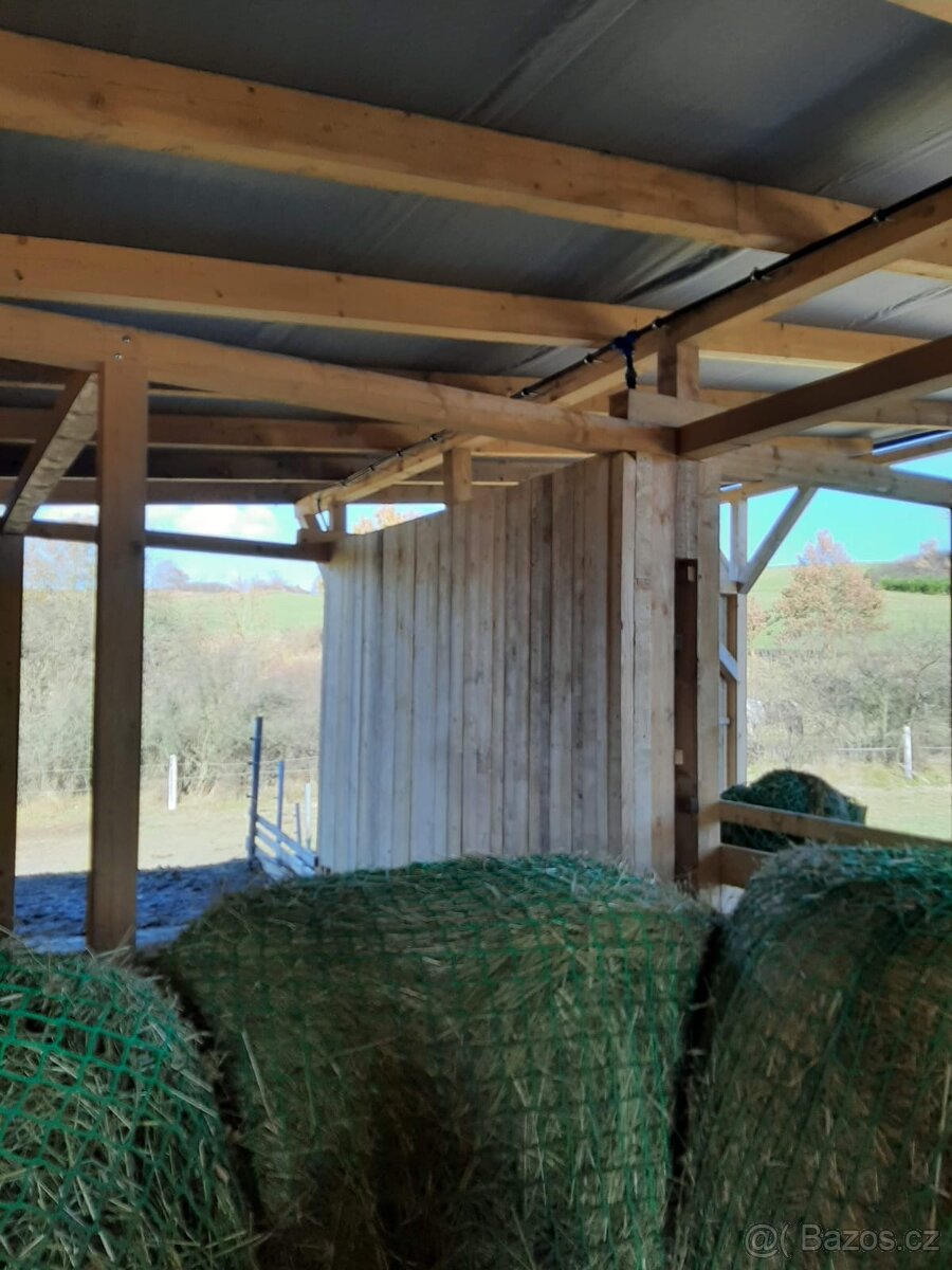 Ustájení koní - 11