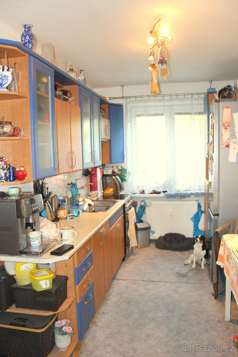Byt 2+1 66m2 v OV - Čelákovice - 11