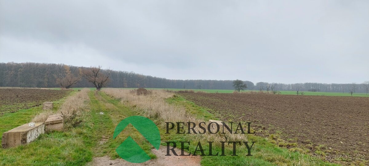 Prodej, Zemědělská půda, 3093 m² - Lodín, ev.č. 01970 - 11