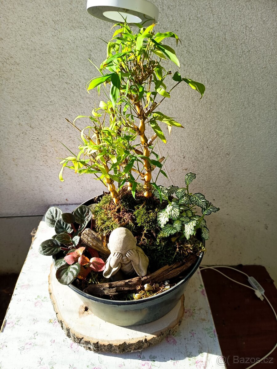 Prodej krevetek a doplňků - 11