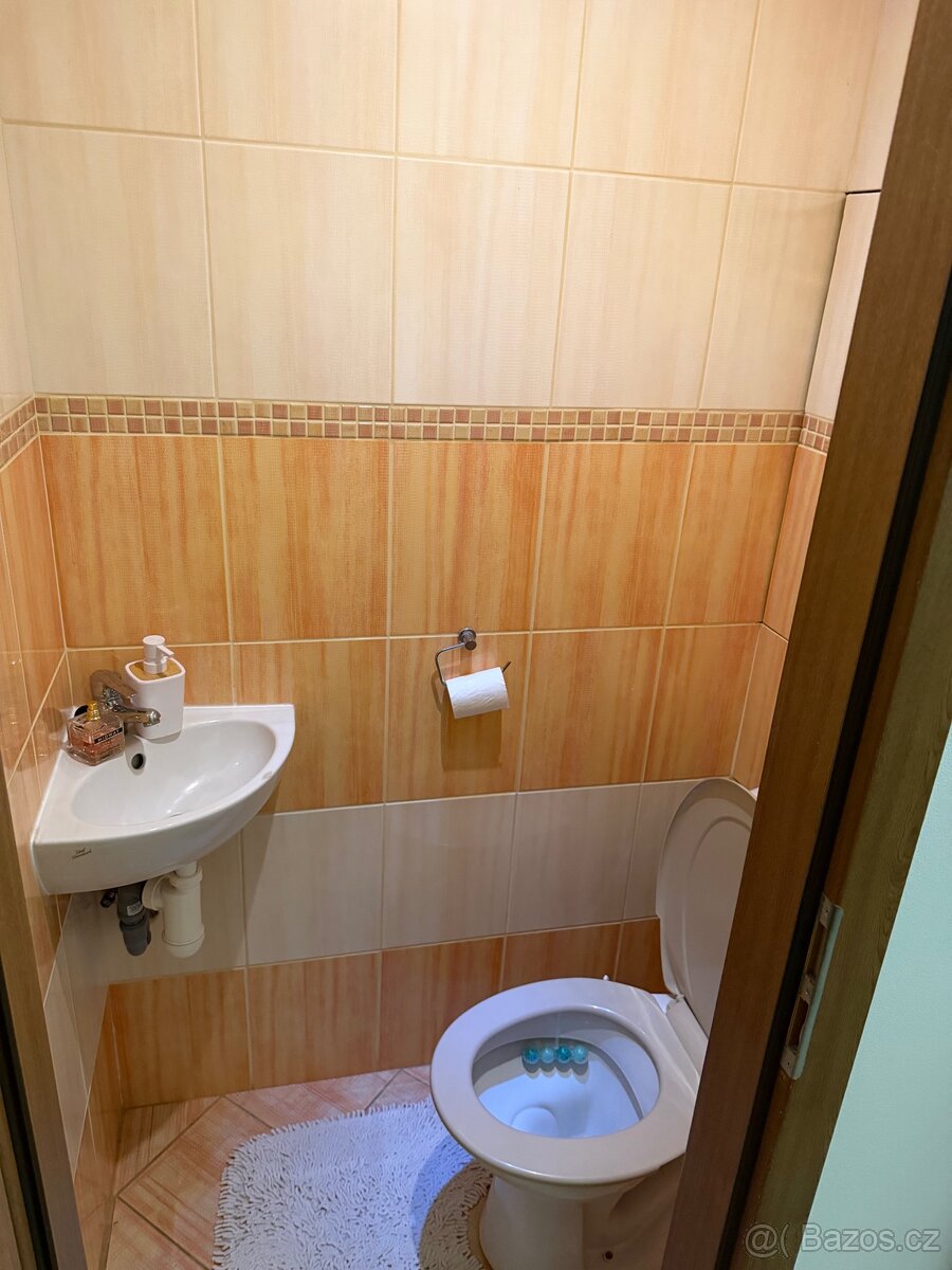 PRONÁJEM BYTU 2+1, 60 m2 s balkonem - 11