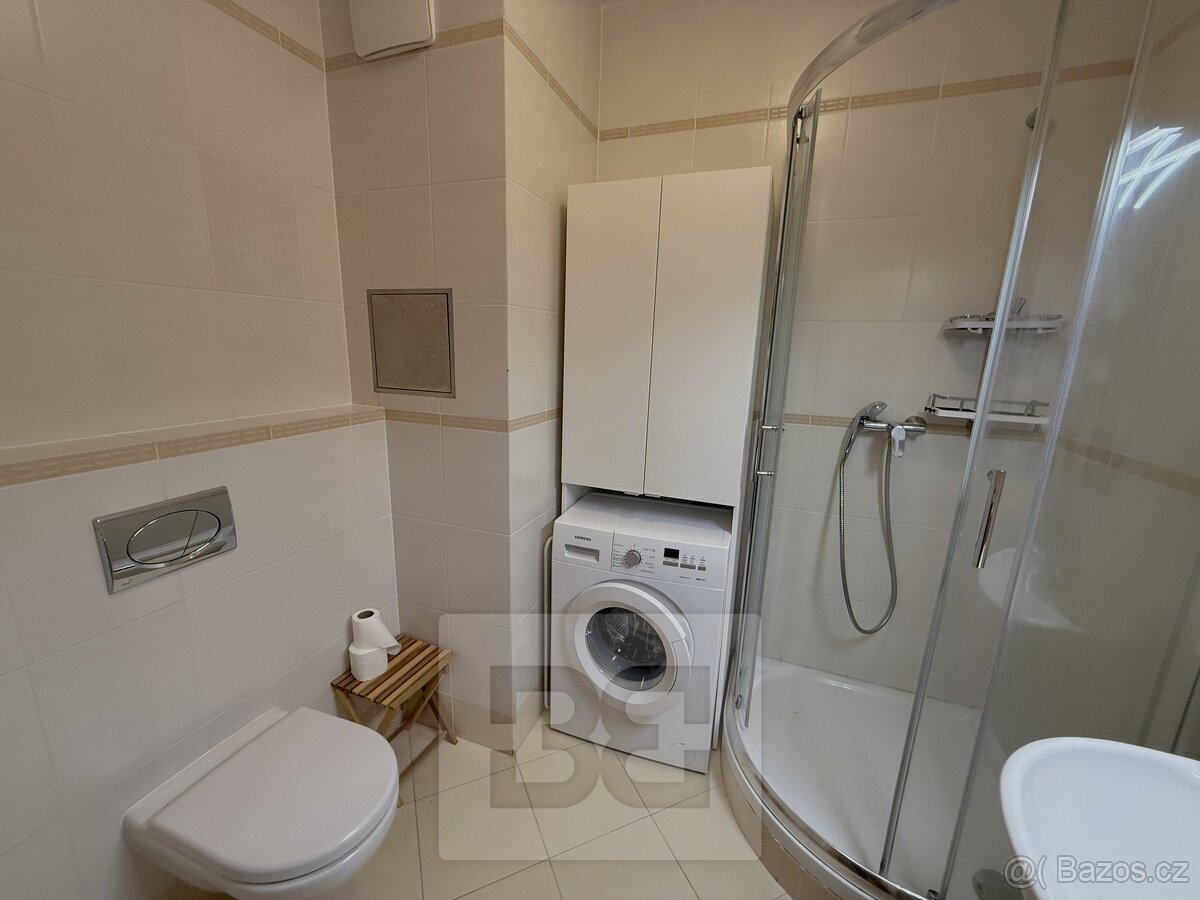 Pronájem bytu 1+kk 28 m², Praha - Zličín, ev.č. N08538 - 11
