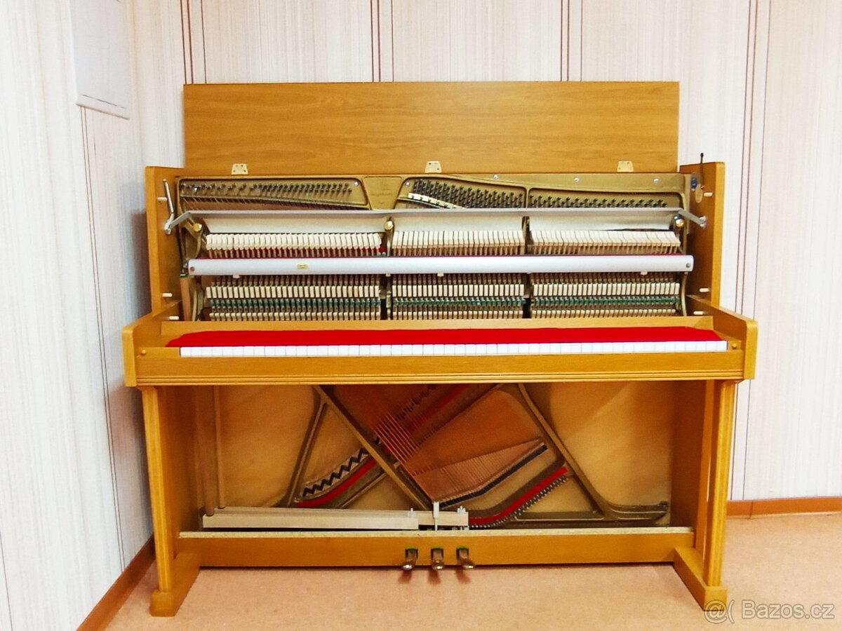 Aspheim -Dovoz zdarma i na Štědrý den 24.12. - 11