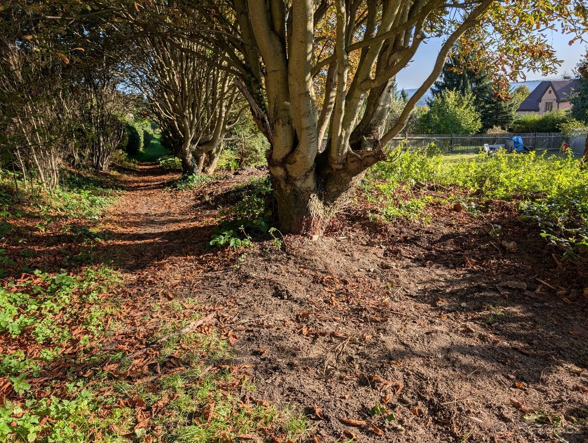 Stavební parcela Jenišovice 1293 m2 - 11