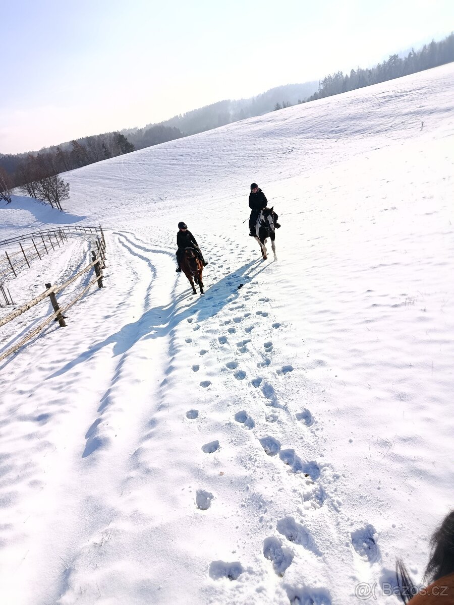 Ustájení-posledni box - 11