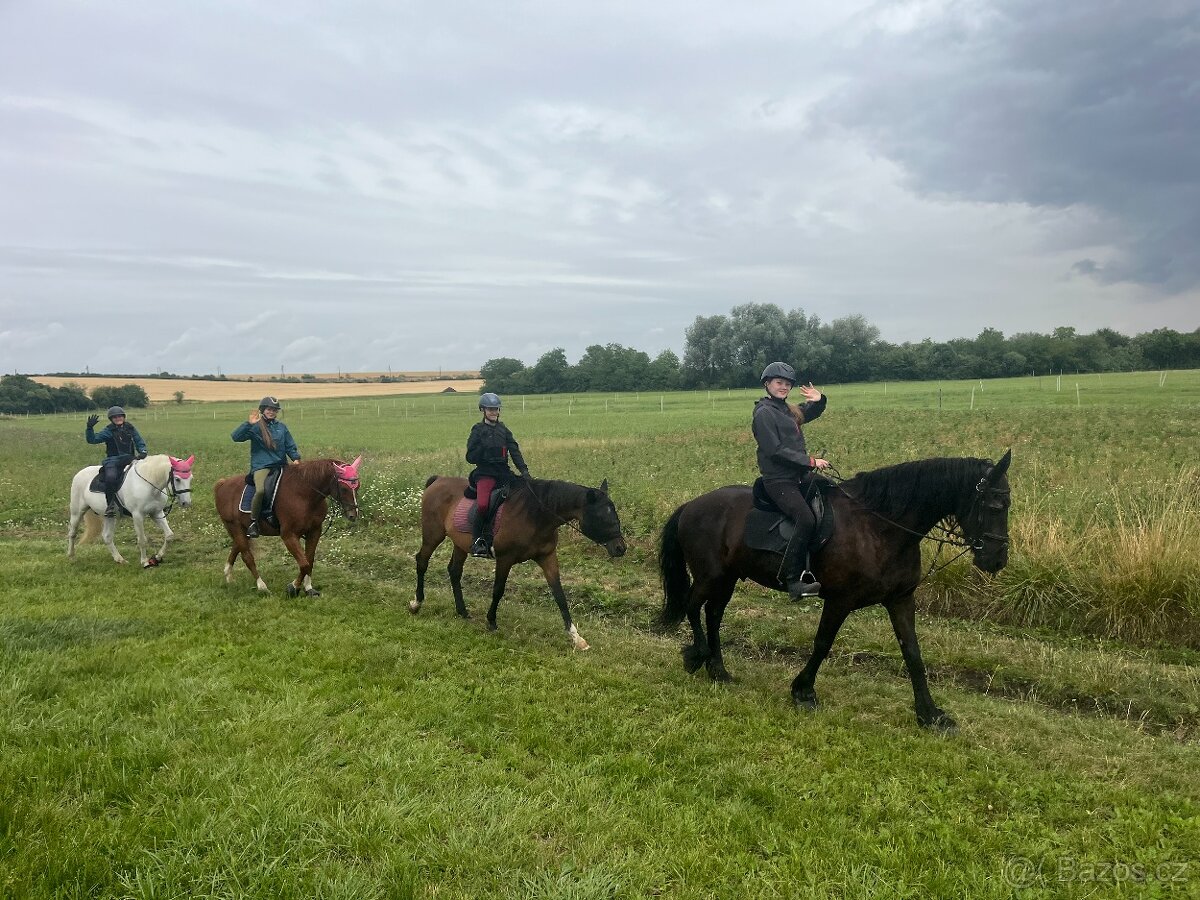 Sepík - stáj, kde se váš talent rozvine naplno - 11