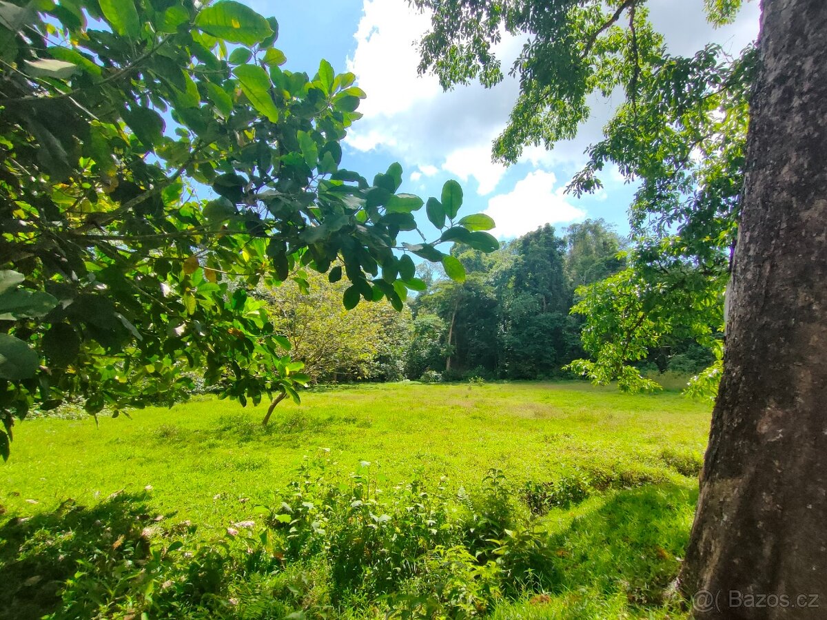 Pozemky a domy Kostarika - 11