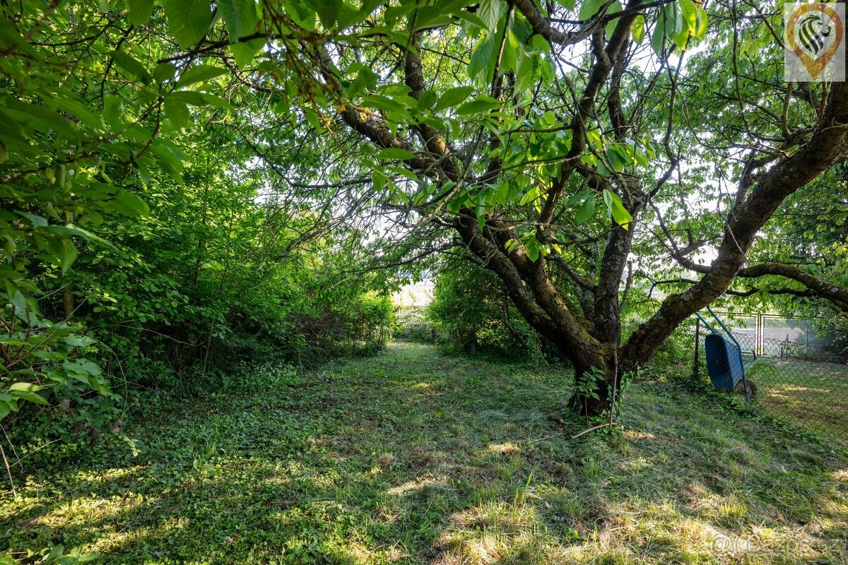 Prodej rodinného domu 130 m² Holovousy – ideální místo pro m - 11