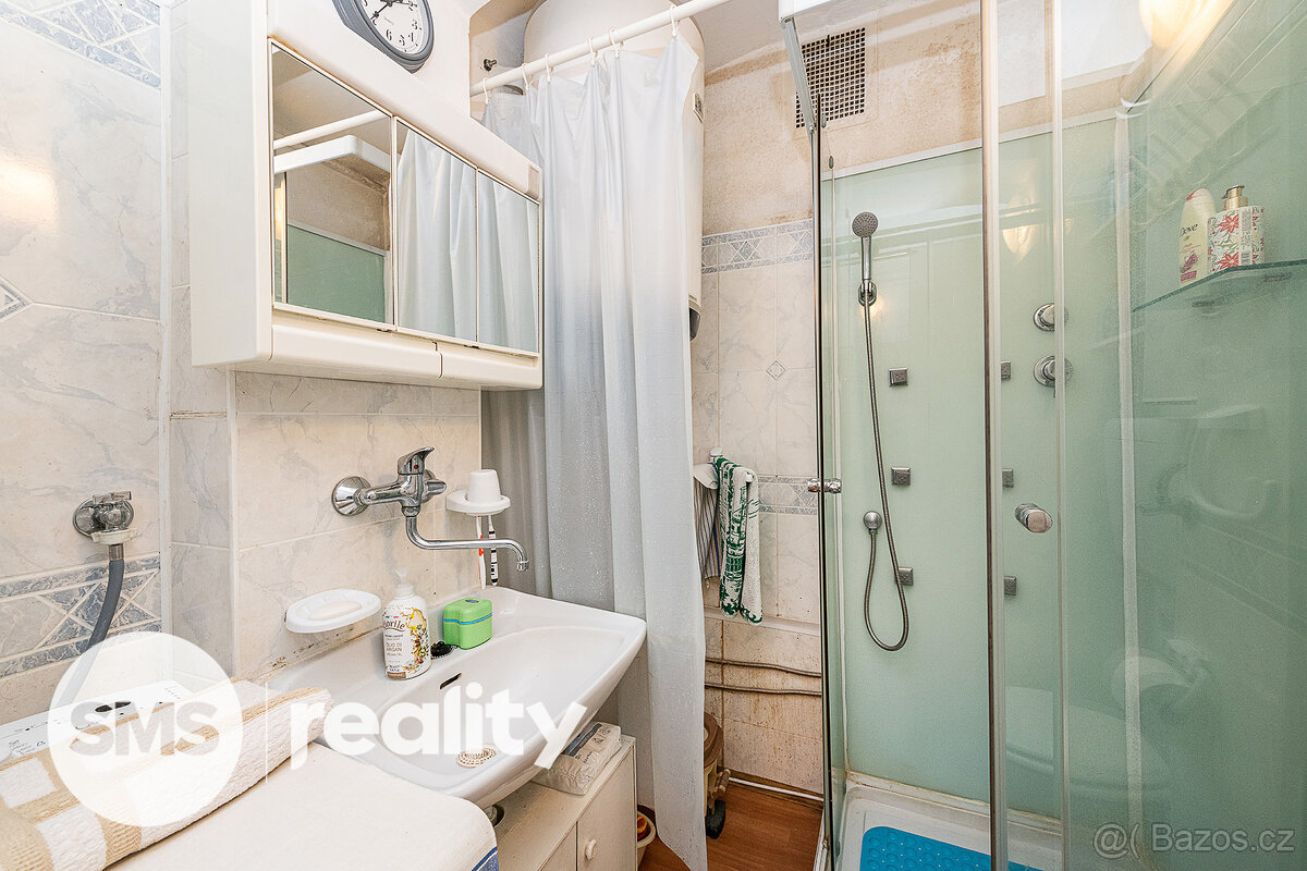 2+1, 60 m2, Praha 6 - Bubeneč - 11