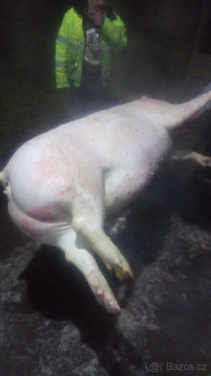 selata a prasata - 11