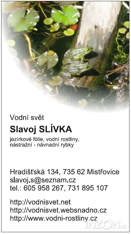 vodní rostliny bahenní rostliny - 11