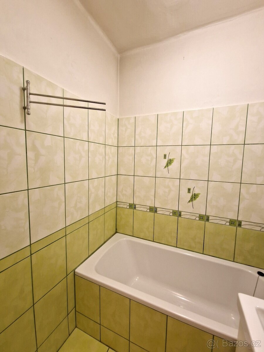 Pronájem 1+1 Ostrava centrum, Jindřichova ulice - 11