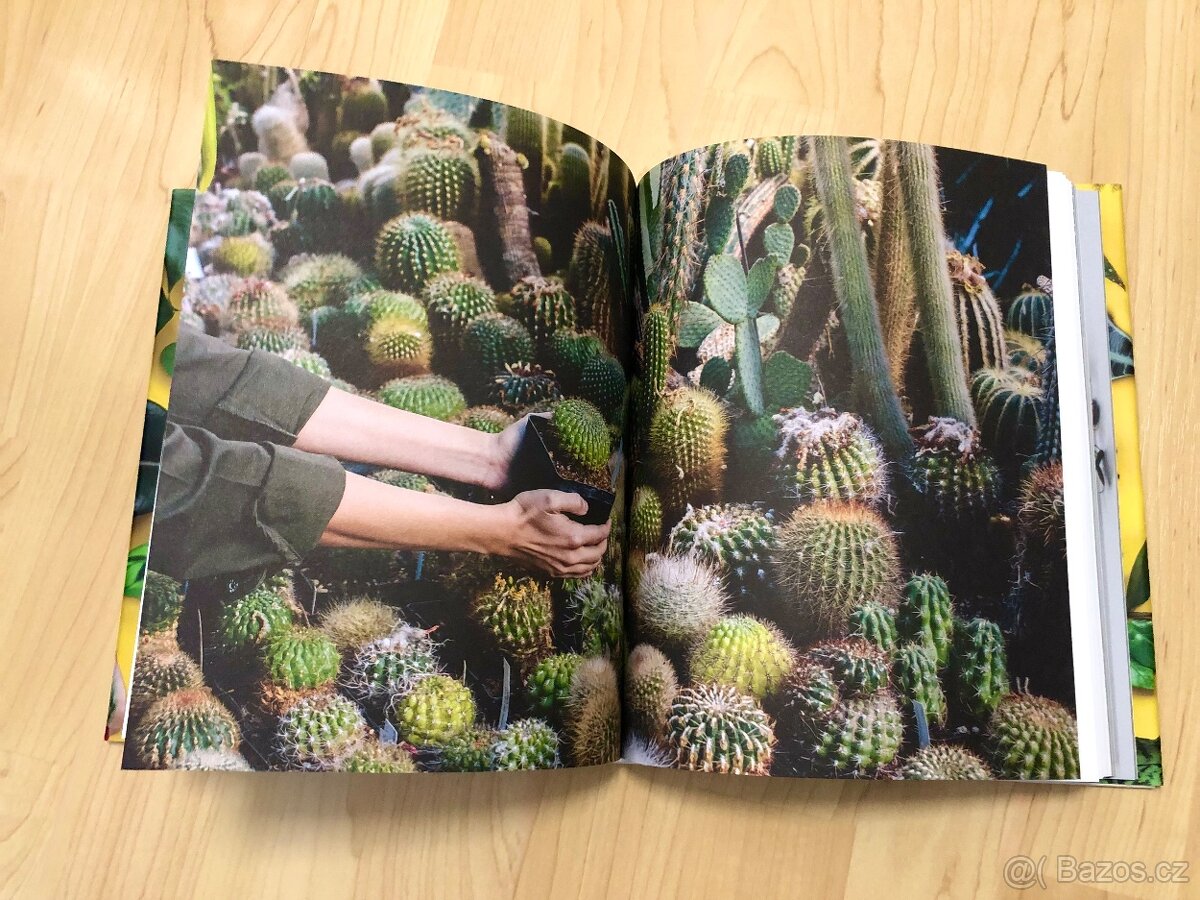 Kniha: Pokojovky a jak se o ně starat - podepsána od autorek - 11