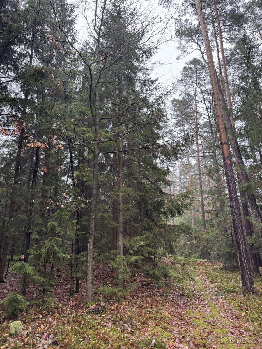 Prodám pozemky v k.ú. Veliny - 11