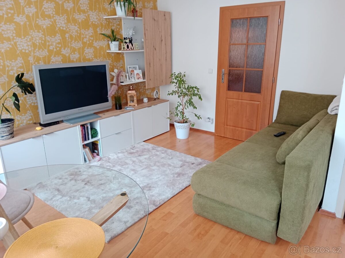 Pronajmu byt 2kk v Plzni - 11