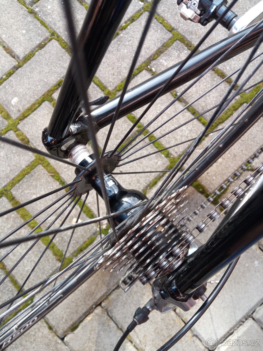 Schwinn Fastback - 11