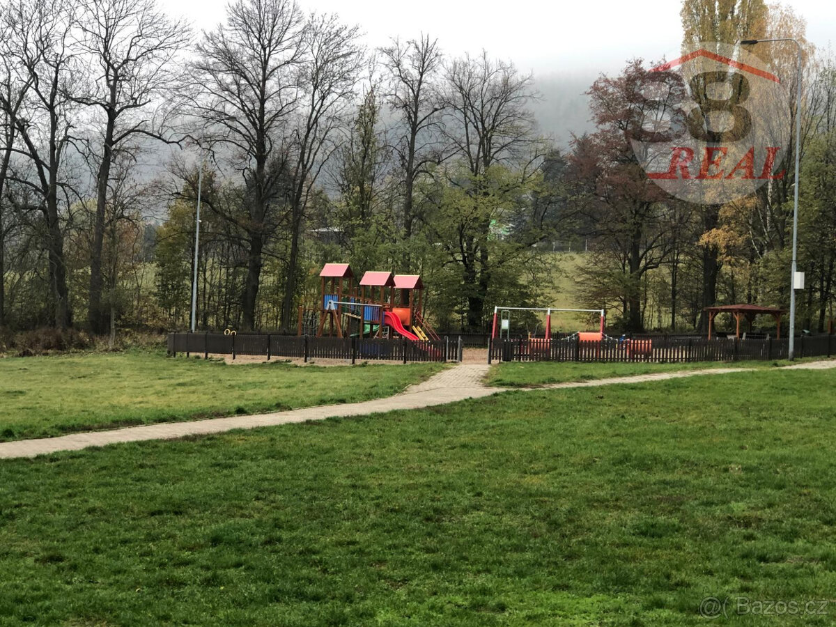 Pronájem 2+1, ulice Dlouhá - 11